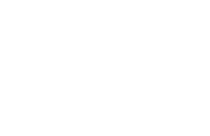 AZDA-1.png