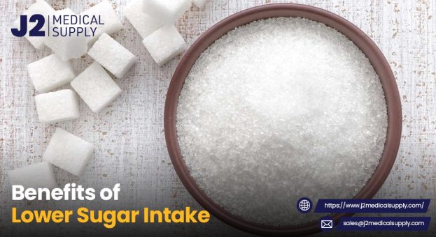 Daily Sugar Intake